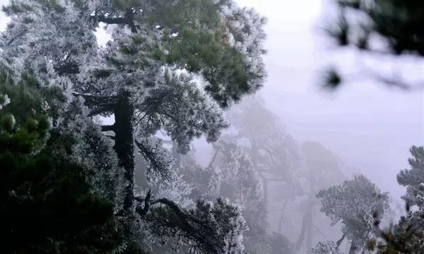 中国校服