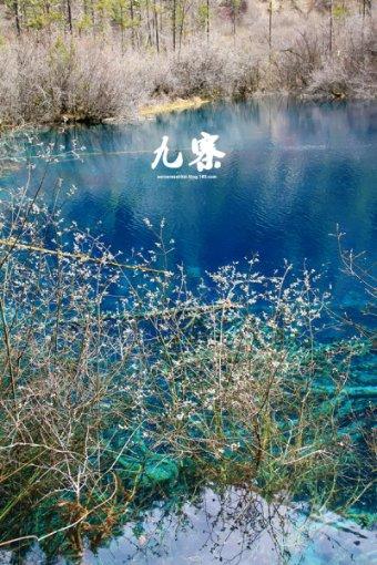 生不逢时!陈芋汐一口流利英文发言爆火,却被全红婵粉丝各种嘲讽
