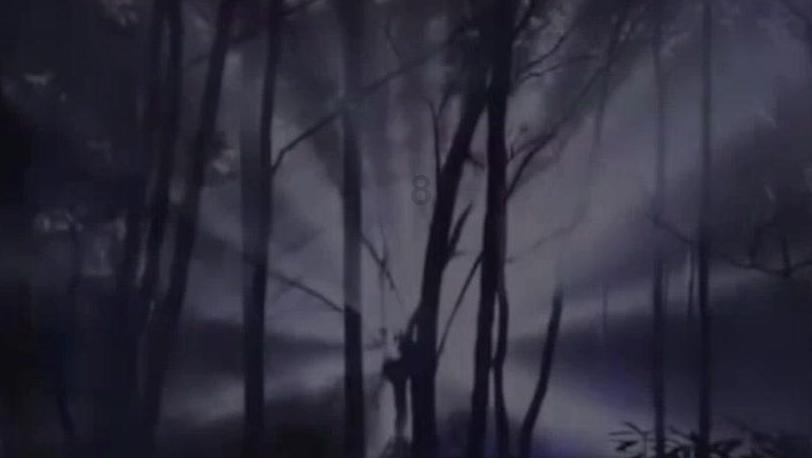 创作猫