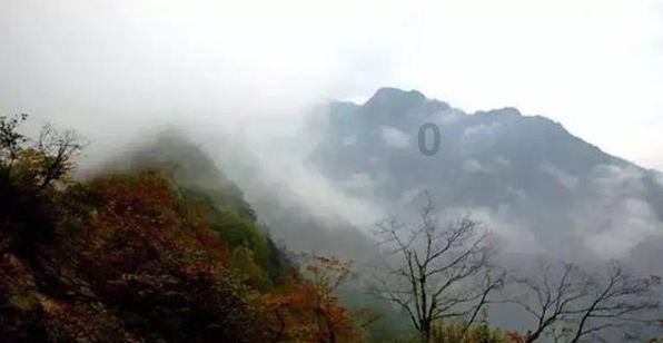 大遗址森林逃生