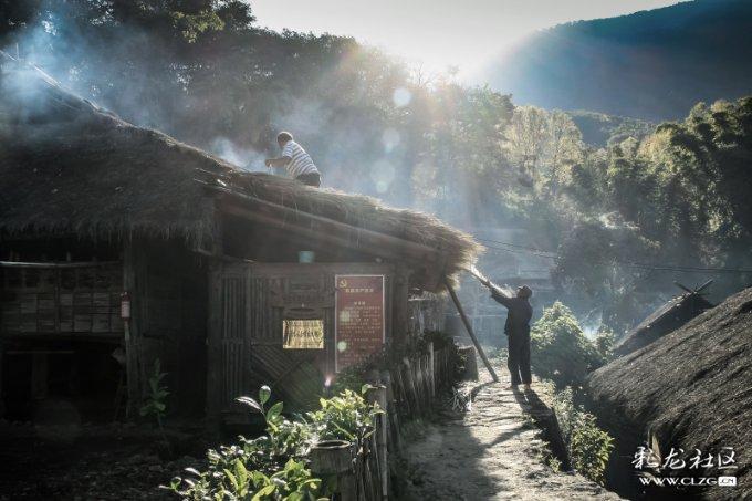 虫虫助手下载