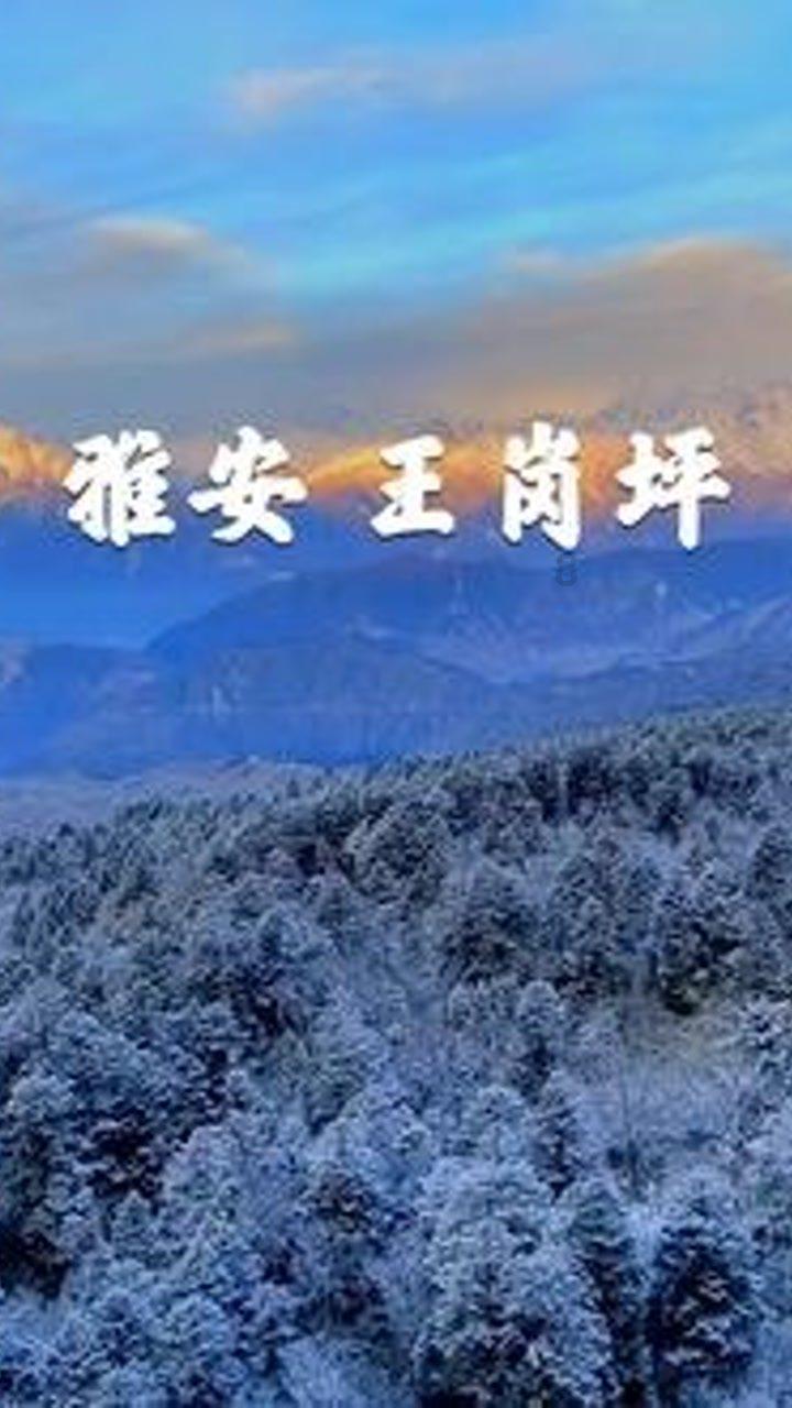再次愚弄