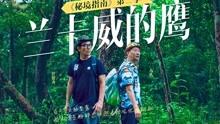 熊出没百层大冒险