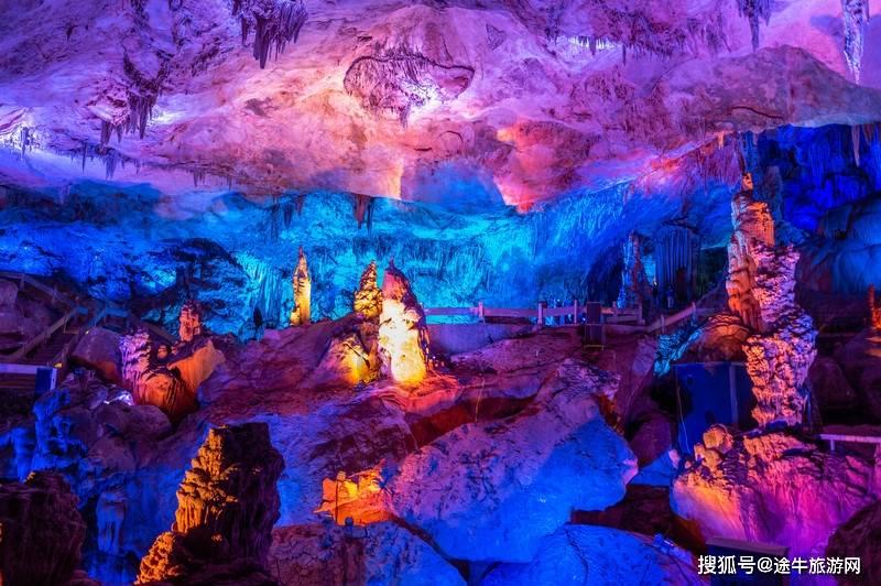 这是什么?长的满树都是?-知识星球平台