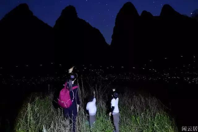 细胞分裂6