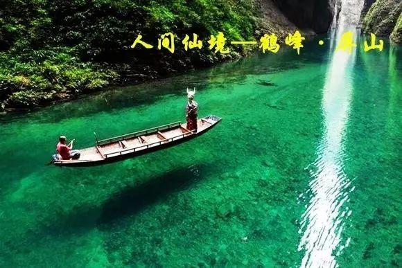 诱捕小浣熊