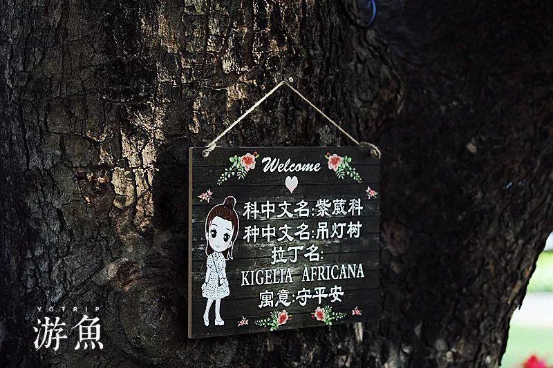 中欧班列(郑州)开行2024年首趟汽车配件班列