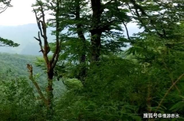平安产险清丰支公司开展“防范电信诈骗,共建安全家园”反诈骗宣传活动