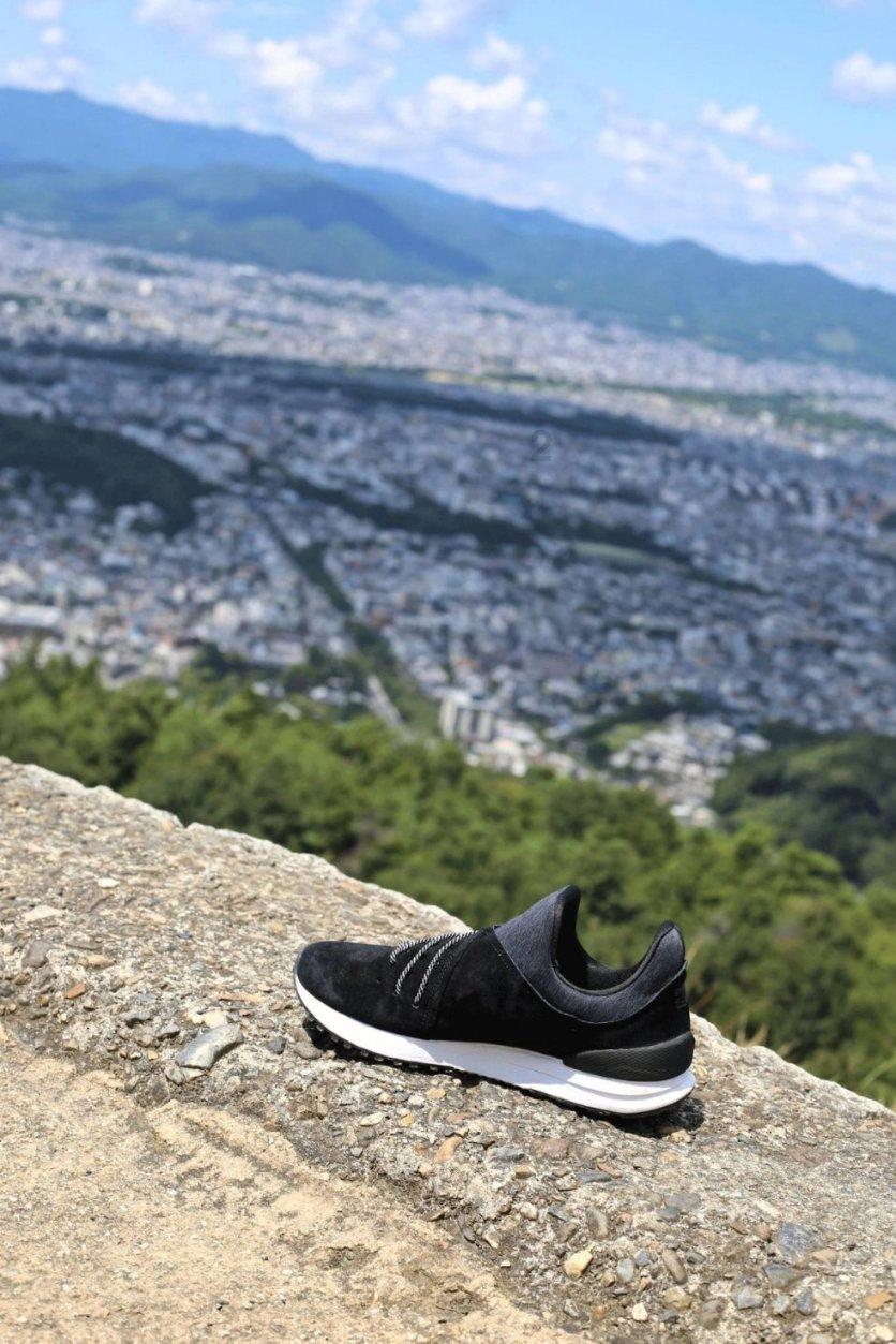 生化危机：浣熊市行动