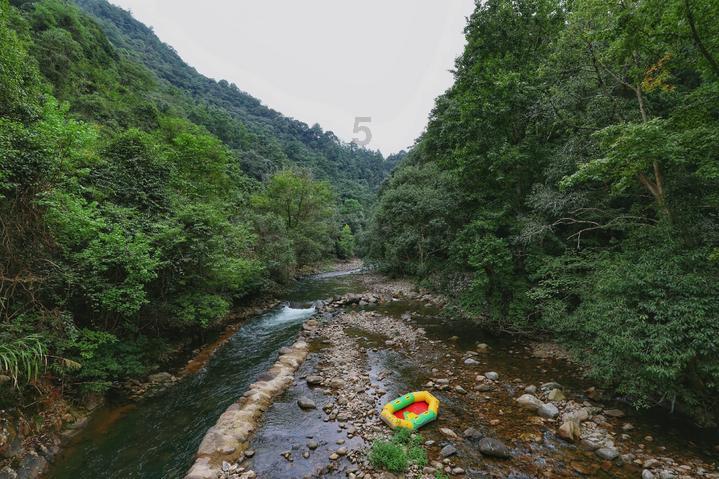 春雨直播app