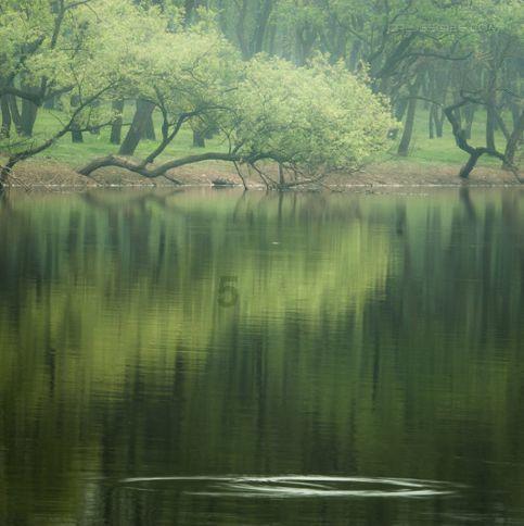 名流设计