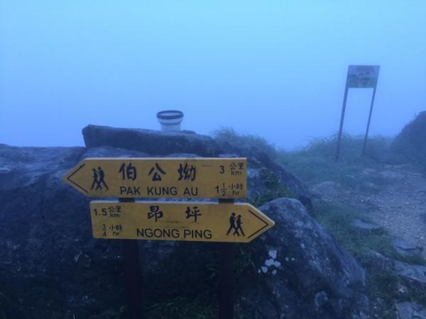 小宝贝仪仗队
