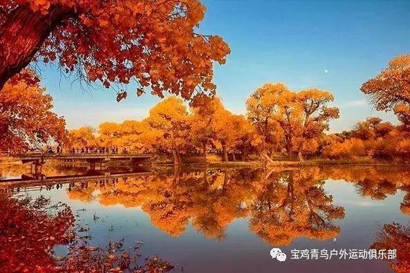 女朋友说她弟弟欺负她怎么回复？游戏画面