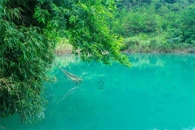 海盗的荣誉