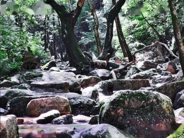 逃离幻想屋