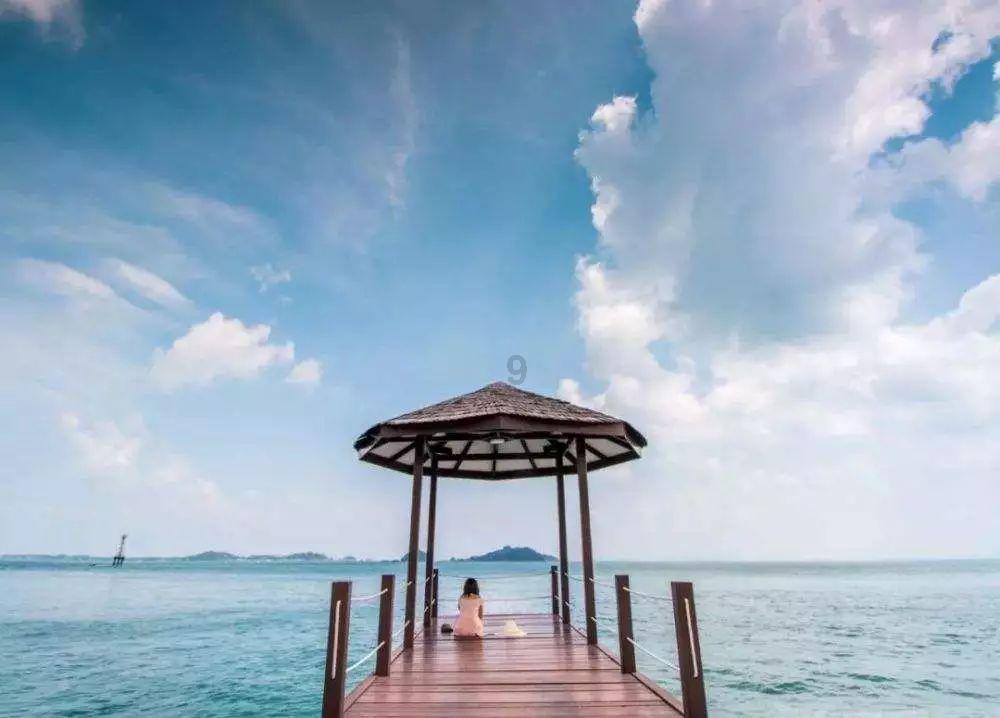 沪江开心词场