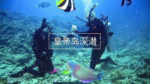 苏菲亚安伯时装秀