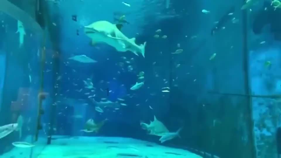 超级坦克联盟3