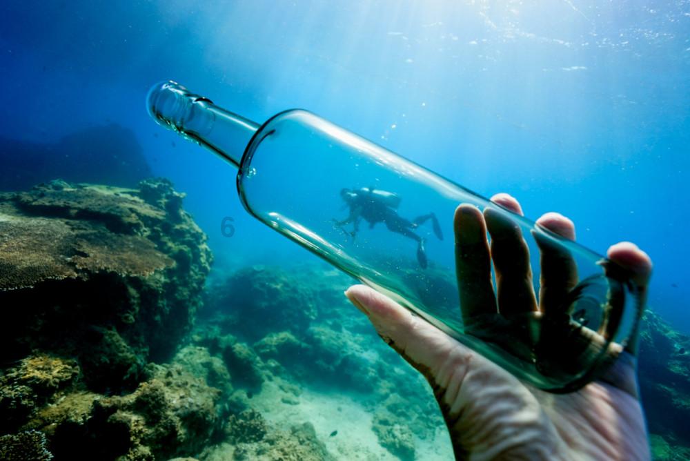 三亚辟谣多海域现剧毒僧帽水母：该物种是蓝瓶僧帽水母
