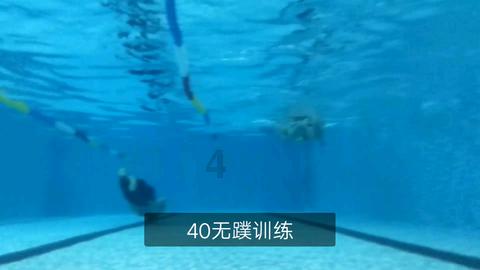 动物帮帮忙保卫家园