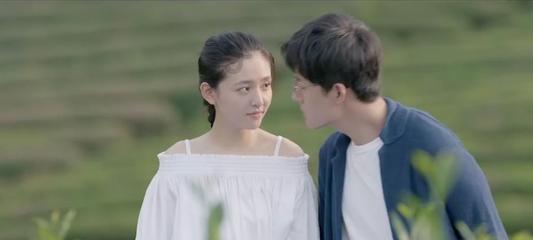 救援怒吼的狮子
