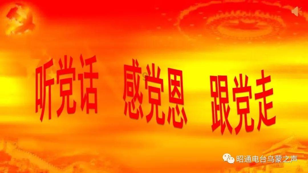 扬州迎来“新市民”国家二级保护动物凤头鹰“落户”