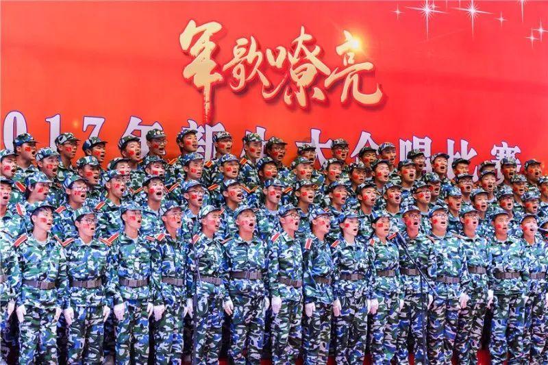 空气凤梨要怎么养？游戏画面