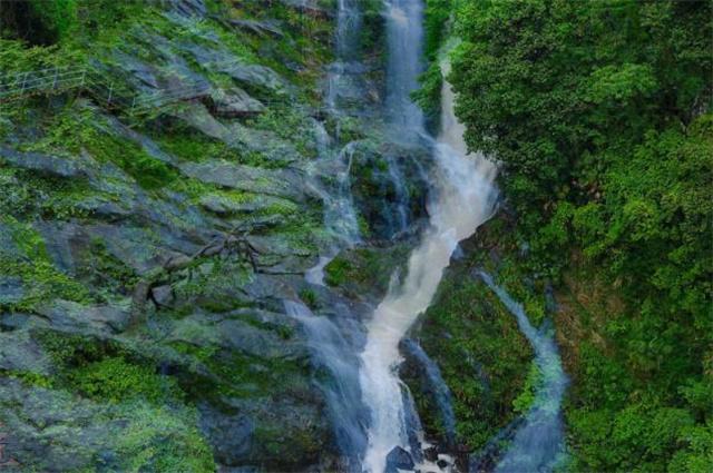 静谧飞行