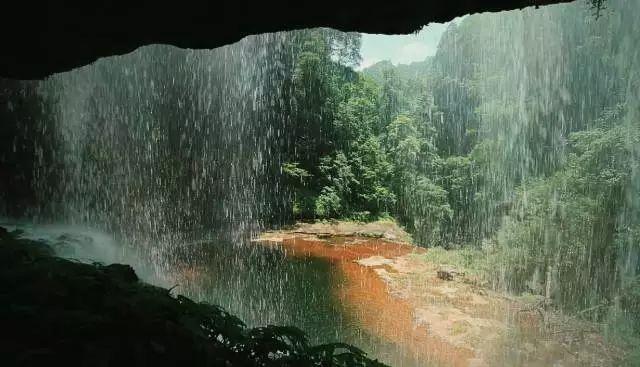 缤纷水果茶