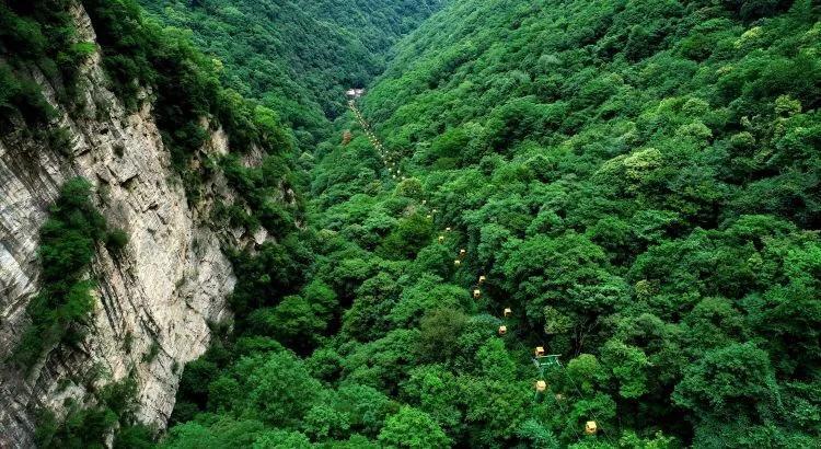 极限巅峰