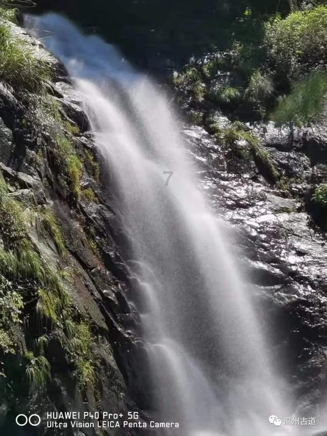 沪江开心词场
