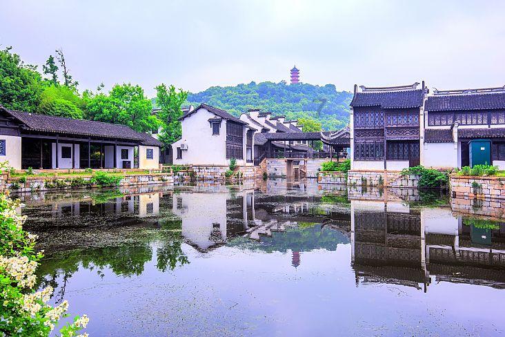 月光影视