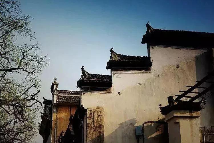 冰火人魔法森林大冒险2