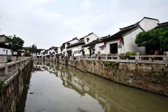 学习插花艺术