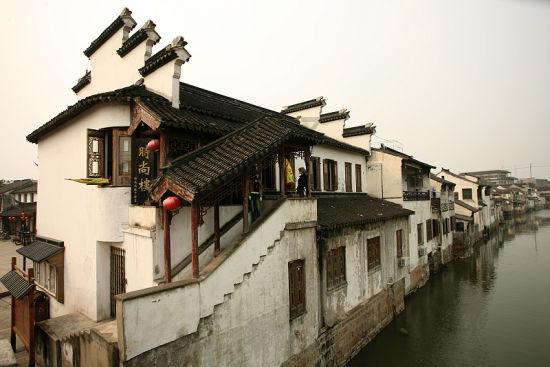中卫市沙坡头区:党建引领产业兴,分红增收同致富
