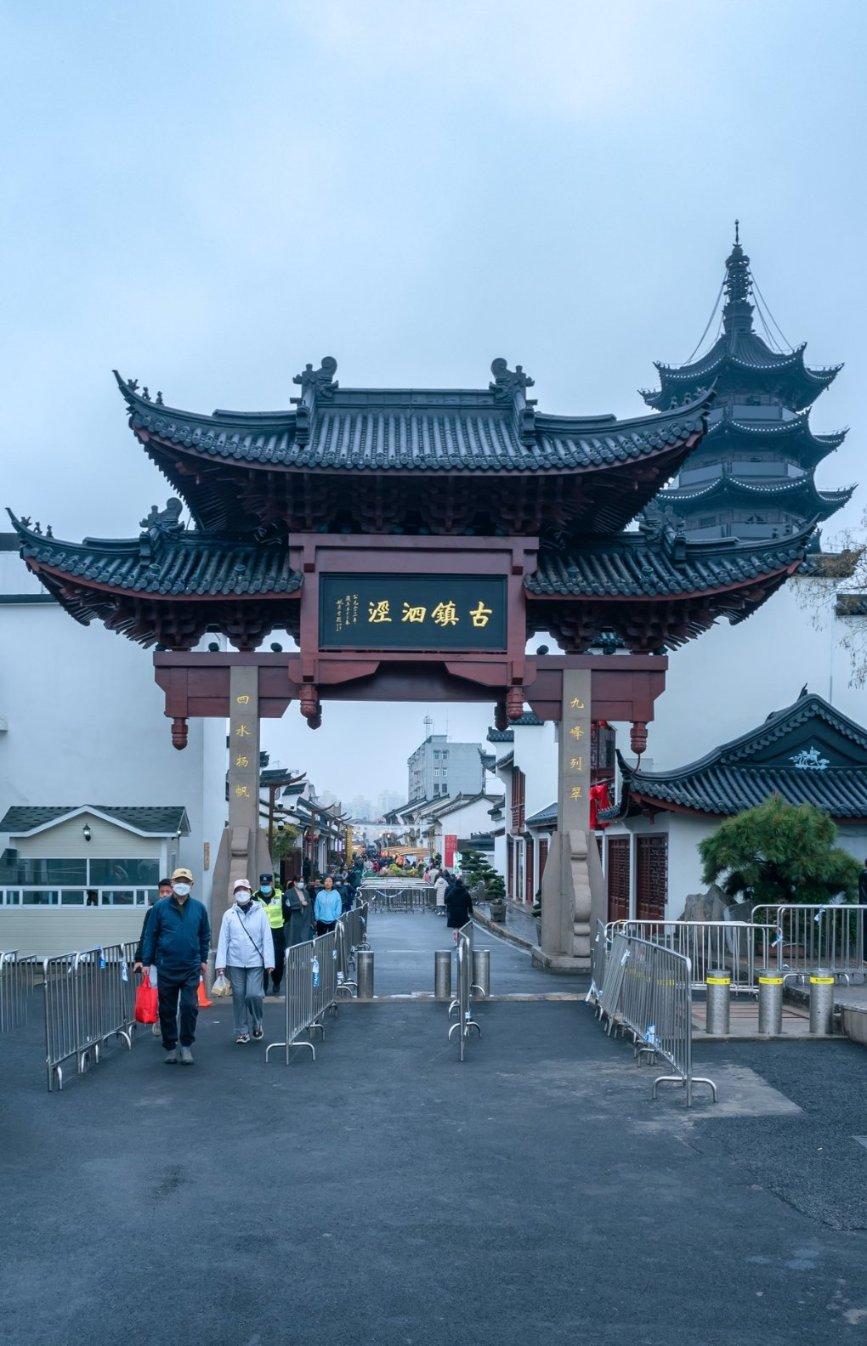 可爱小猫向上跳