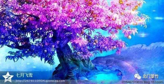 勠力同心 奋发争先——曹县王集镇2023年工作纪实