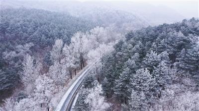 熊出没夺宝历险
